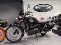 Triumph Noir - thumbnail 1