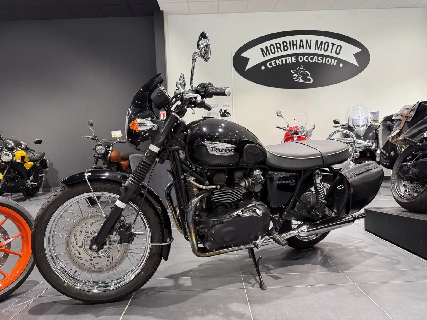 Triumph Noir - 1