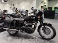 Triumph Noir - thumbnail 2