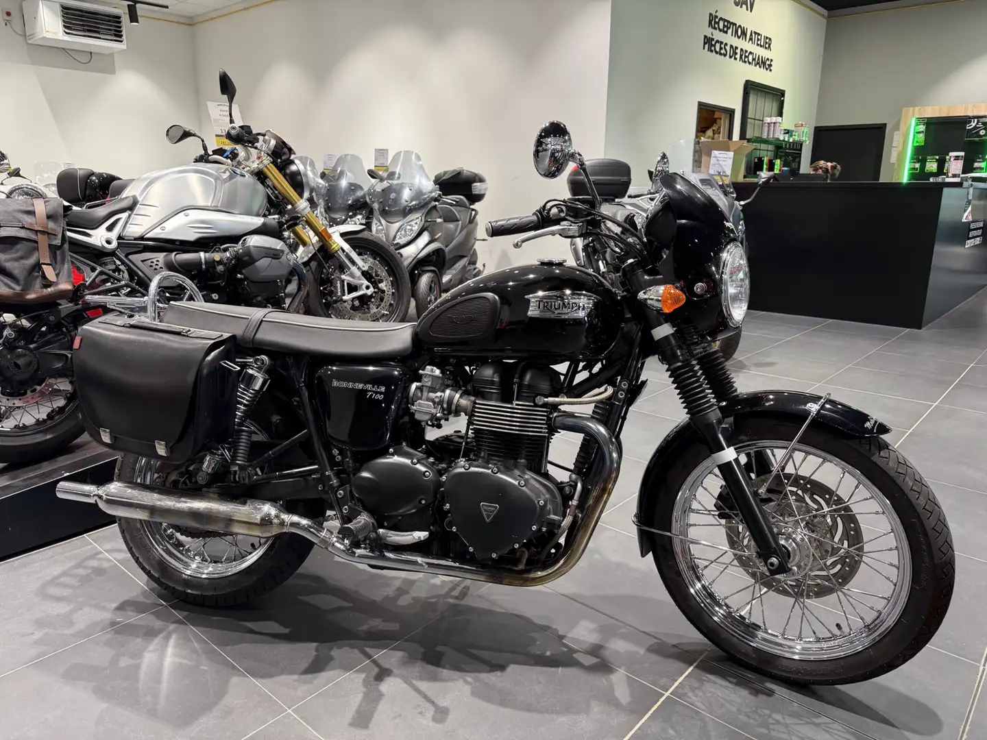 Triumph Noir - 2