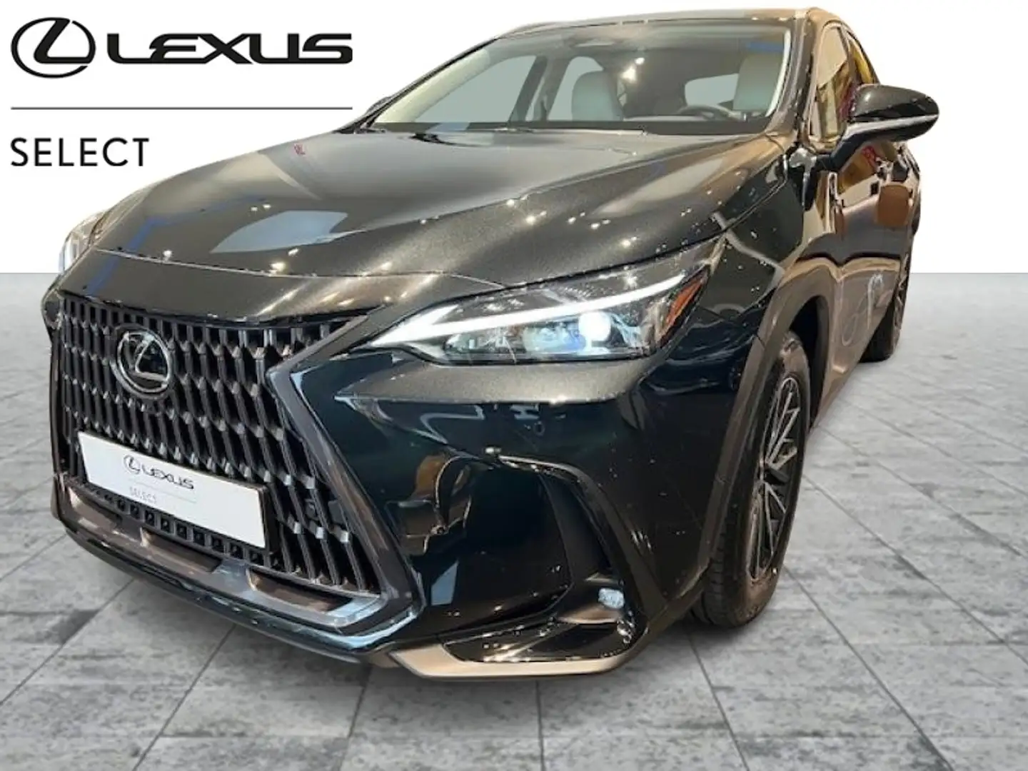Lexus NX 450h+ Executive Line Negro - 1