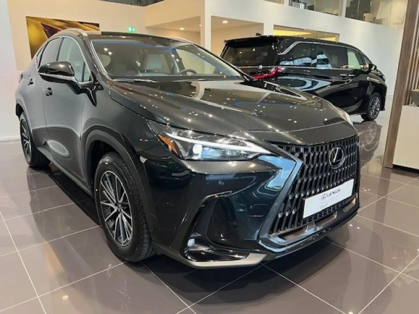 Lexus NX 450h+ Executive Line Negro - 2