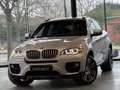 BMW X6 3.0 dA xDrive40/PACK M/FULLOPTIONS/FACELIFT Grijs - thumbnail 1