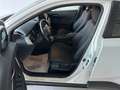 Toyota C-HR Hybrid 1.8 BUSINESS SPORT APPLE/ANDROID KM 22000 ! Bianco - thumbnail 6