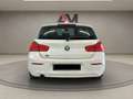 BMW 116 Serie 1116d Urban 5p auto **PREZZO REALE** Blanc - thumbnail 4