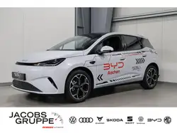 Byd Other DM i Comfort Navi/Sitzheizung/Rückfahrkamera