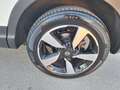 Nissan Qashqai 1.5 dci Tekna 110cv TETTO NAVI 360 - thumbnail 5