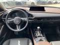 Mazda CX-30 e-Skyactive G140 Takumi Aut. Rot - thumbnail 7