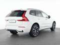 Volvo Sonstige XC60 B4 Benzin Plus Dark 20"+ACC+STANDHZG+360° Weiß - thumbnail 2