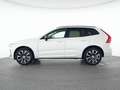 Volvo Sonstige XC60 B4 Benzin Plus Dark 20"+ACC+STANDHZG+360° Weiß - thumbnail 11