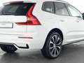 Volvo Sonstige XC60 B4 Benzin Plus Dark 20"+ACC+STANDHZG+360° Weiß - thumbnail 10