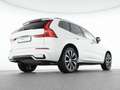 Volvo Sonstige XC60 B4 Benzin Plus Dark 20"+ACC+STANDHZG+360° Weiß - thumbnail 8