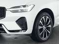 Volvo Sonstige XC60 B4 Benzin Plus Dark 20"+ACC+STANDHZG+360° Weiß - thumbnail 9