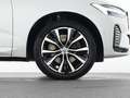 Volvo Sonstige XC60 B4 Benzin Plus Dark 20"+ACC+STANDHZG+360° Weiß - thumbnail 22