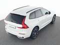 Volvo Sonstige XC60 B4 Benzin Plus Dark 20"+ACC+STANDHZG+360° Weiß - thumbnail 19
