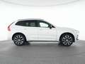 Volvo Sonstige XC60 B4 Benzin Plus Dark 20"+ACC+STANDHZG+360° Weiß - thumbnail 12