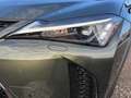 Lexus UX 300h 2WD F-Sport Design Zielony - thumbnail 12