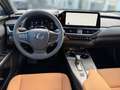Lexus UX 300h 2WD F-Sport Design Zielony - thumbnail 7