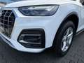 Audi Q5 40 TDI quattro advanced 5J-GAR/LED/NAVI/R-KAM Weiß - thumbnail 11