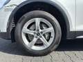 Audi Q5 40 TDI quattro advanced 5J-GAR/LED/NAVI/R-KAM Weiß - thumbnail 9