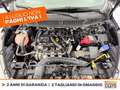 Ford Ka/Ka+ Ka + active 1.2 s&s 85cv Grigio - thumbnail 12