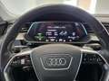 Audi e-tron 50 quattro 230 kW Business Blau - thumbnail 11