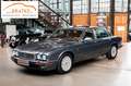 Jaguar Daimler 6.0 Double Six lang deutsch 2Hd. 88tkm Szary - thumbnail 1