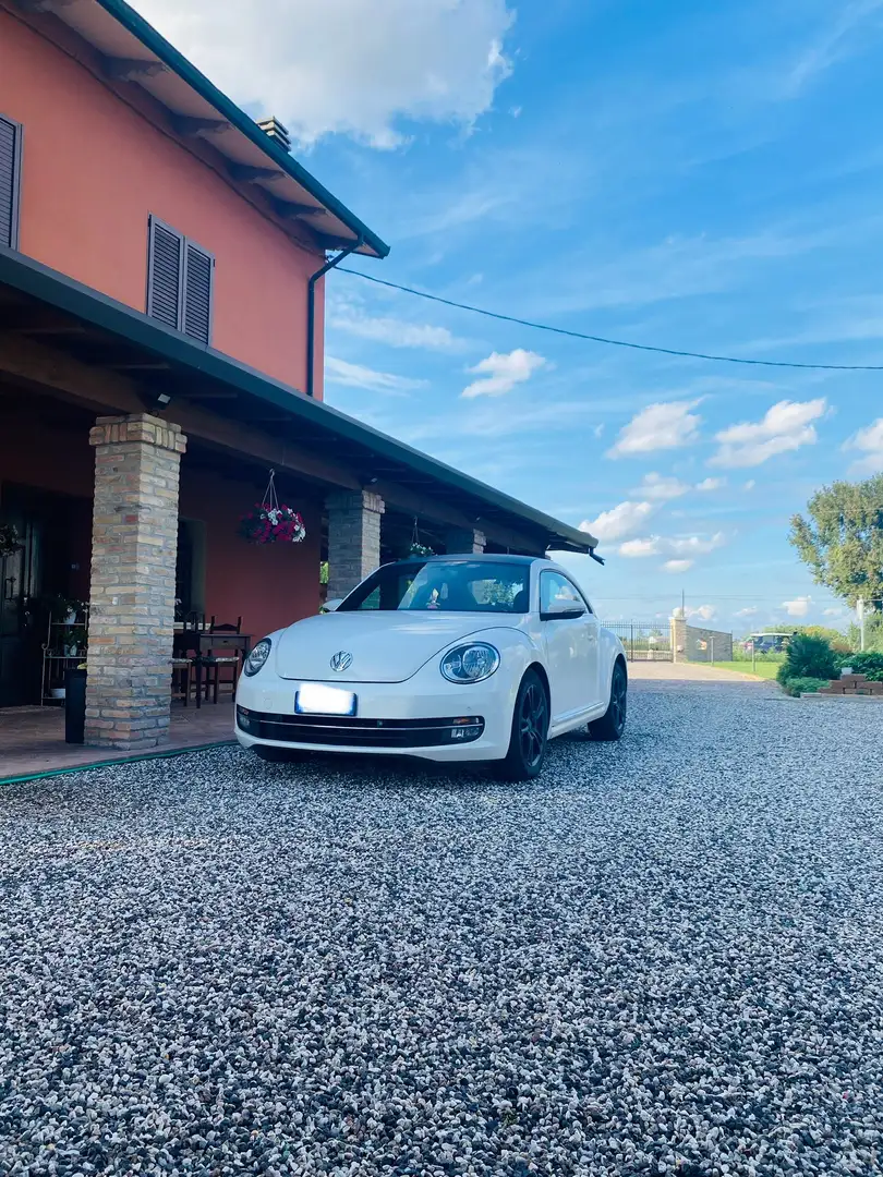 Volkswagen Beetle 1.6 tdi Design 105 cv - 1
