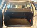 Ford EcoSport ST-LINE NAVI / AHK / PDC /KAMERA / SCHIEBEDACH Blanc - thumbnail 6