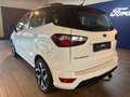 Ford EcoSport ST-LINE NAVI / AHK / PDC /KAMERA / SCHIEBEDACH Blanc - thumbnail 4