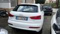 Audi Q3 Q3 2.0tdi S line edition 140cv Manuale Tetto Bianco - thumbnail 3