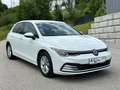 Volkswagen Golf 8, 1.Besitz, *Garantie*, Pickerl NEU Weiß - thumbnail 1