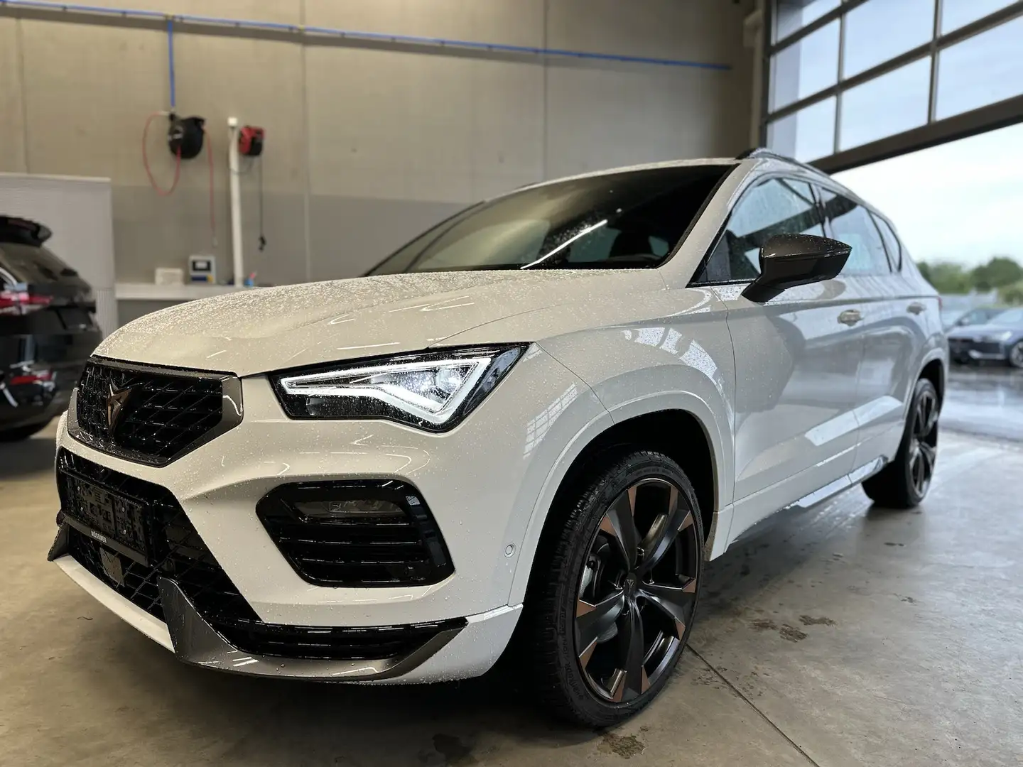 CUPRA Ateca 1,5TSI DSG AHK Assist XL 19´´ PANO Weiß - 1