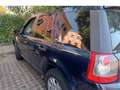 Land Rover Freelander 2.2 td4 HSE Bleu - thumbnail 3