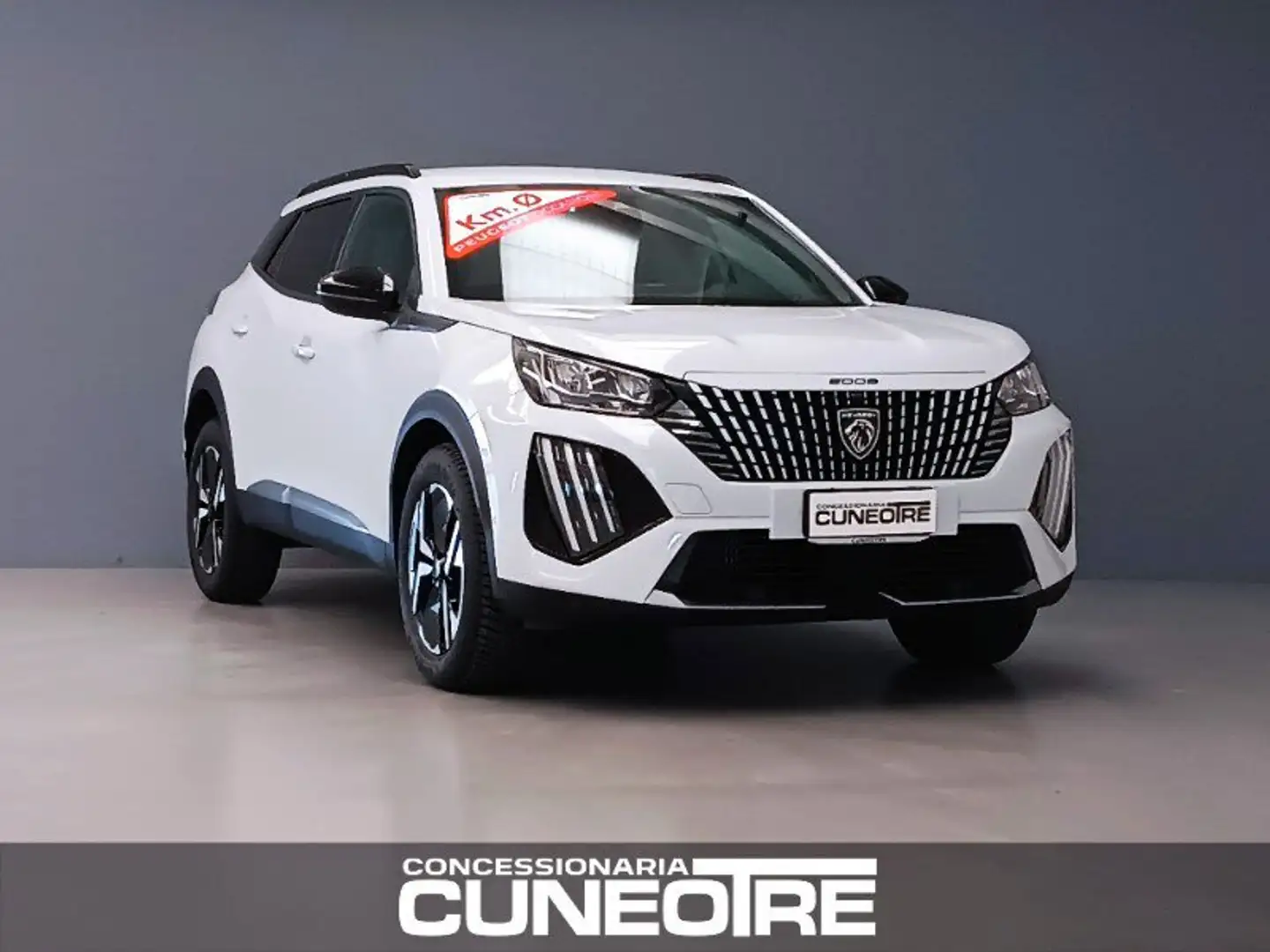 Peugeot 2008 2008 PureTech 100 S&S Allure Weiß - 1