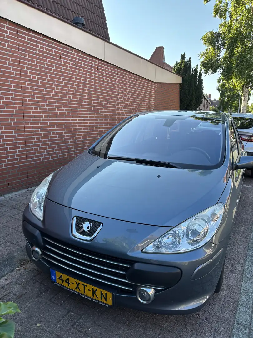Peugeot 307 1.6-16V Premium Grijs - 2