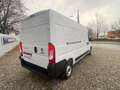 Fiat Ducato 35 L3H2 140 Multijet Hochdach verblecht Weiß - thumbnail 9