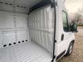 Fiat Ducato 35 L3H2 140 Multijet Hochdach verblecht Weiß - thumbnail 14