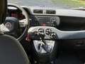 Fiat Panda III 1.2 Lounge s - thumbnail 9