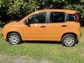 Fiat Panda III 1.2 Lounge s - thumbnail 2