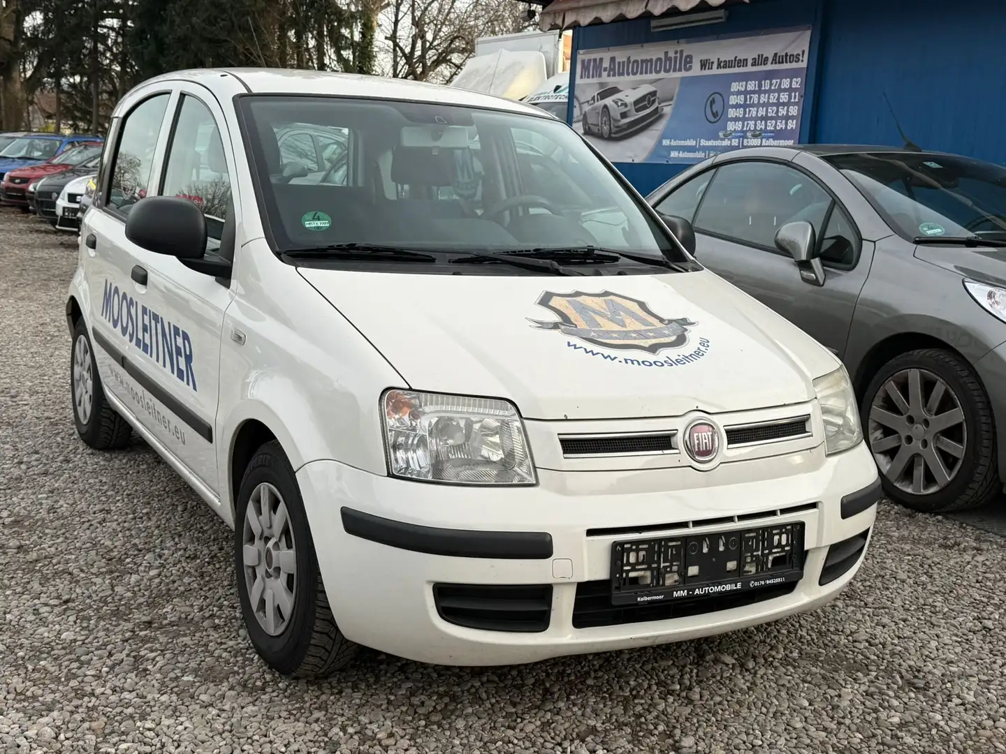 Fiat Panda 1.2 8V Dynamic Blanc - 1