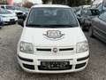 Fiat Panda 1.2 8V Dynamic Blanc - thumbnail 2