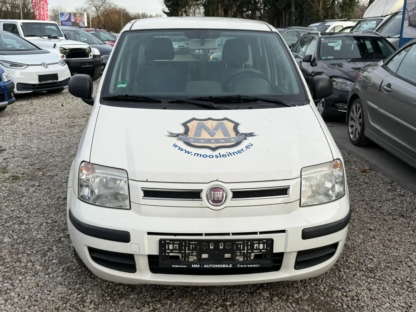 Fiat Panda 1.2 8V Dynamic Blanc - 2