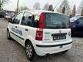 Fiat Panda 1.2 8V Dynamic Weiß - thumbnail 5