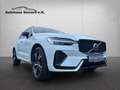 Volvo XC60 R Design *Navi*LED*AHK*Black Edition* Weiß - thumbnail 9