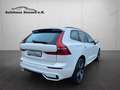 Volvo XC60 R Design *Navi*LED*AHK*Black Edition* Weiß - thumbnail 7