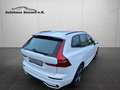 Volvo XC60 R Design *Navi*LED*AHK*Black Edition* Weiß - thumbnail 13