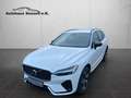 Volvo XC60 R Design *Navi*LED*AHK*Black Edition* Weiß - thumbnail 10
