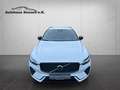Volvo XC60 R Design *Navi*LED*AHK*Black Edition* Weiß - thumbnail 11