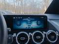 Mercedes-Benz B 250 e Progressive/LED/Cam/AHK/Distr/Winter/17" Weiß - thumbnail 17